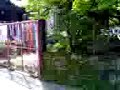 My House