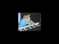 videos de Play him off, Keyboard cat retard version