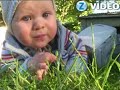 ZParks video - Internetā atrasti nieciņi - Thumb #1