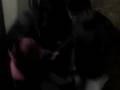 Koky bailando