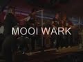Mooi Wark Playbackshow VV Berkhout