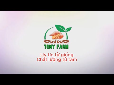 TONY FARM ĐÀ LẠT