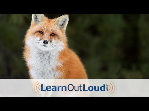 Aesop's Fables - Full Audiobook