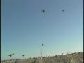 duck shooting - Flixster Video