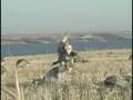 Duck Hunting  Wave on Wave