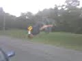 back flip off my car back flip off my car