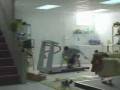 videos de D Esteira maldita