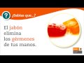El jab�n elimina los g�rmenes