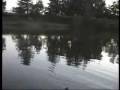 al lago primavera