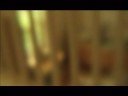 Brevis + Dvx100b @ 24p w/ lensbaby 2G & nikkor 50mm Brevis + Dvx100b @ 24p w/ lensbaby 2G & nikkor 50mm
