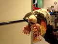 Puppet Show Puppet Show