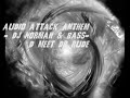 audio attack anthem - dj norman & bass-d meet dr rude