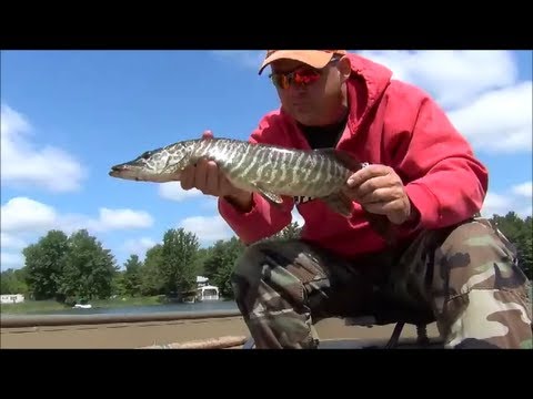 how to dissolve ptfe