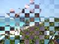 videos de Pesca Maya