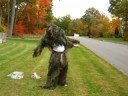 Ghillie Suits Ghillie Suits