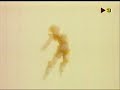 goku vs majin vegeta