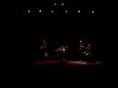 freevn in concert merksem purple taxi