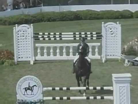 horses grand national horses grand national
