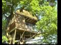 Norfolk Treehouse