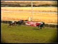 1990 (518) Premio VEIL PICARD (2.ª C.) (SUR)