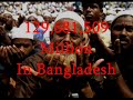 Muslim Terrorists?