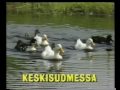 mainoskatko-vuodelta-1990-1.html