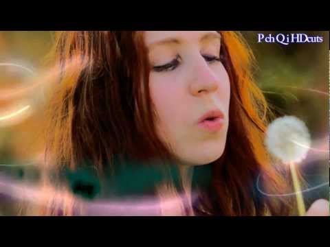 video image