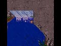 tibia waterfall quest nerana