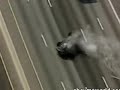 Ladr�o rouba carro bate e � atropelado brutalmente...