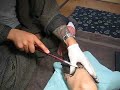 Ryugen-san Tebori Tattoo