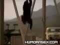 monkey vs. navy seal