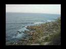 Beautiful Manly and Sydney Harbour