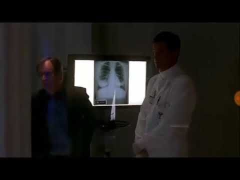 NCIS "SWAK" The Plague (Re-upload)