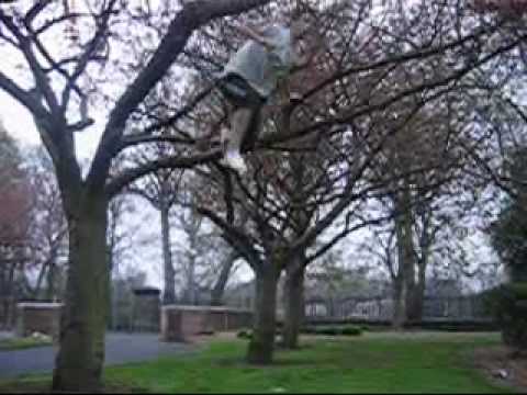 nike_football_video - Manchester Met Students have made a Spoof of the Nike Football advertsiment, and the great thing is, it's actually really good! You can download the video fr...