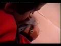 Mis Pelitos - Documental
