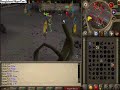 AAO vs CP