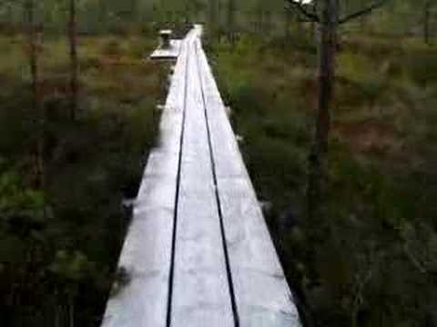 Cenas marsh