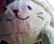 しろたん動画12