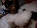 3Bs play time - 051109