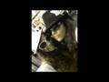 lorranny & taissa