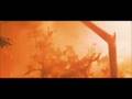 Terminator 2: Morphogenesis