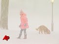 Raw Video: Snow Storm Hits New York