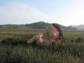 FFXI Advance Graphic Pics