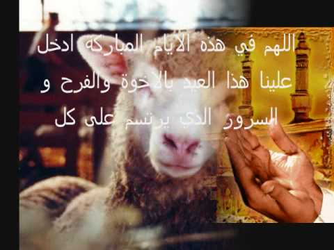مصر و الجزائر Algerie Egypte Aidkoum Moubarek