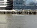 River Thames Mistery
