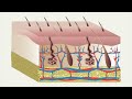 General Dermatology by Birmingham Dermatologist, Dr. Jenny Sobera