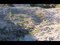 Reflections (in a postcolonial world)_Part 2 Reflections (in a postcolonial world)_Part 2