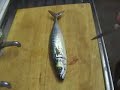 Filleting A Cod