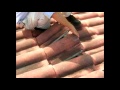 allied moving slide 1