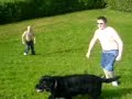Lee rolling down a hill